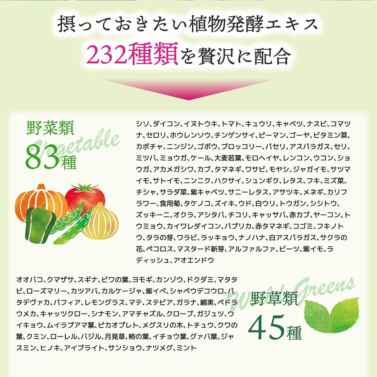 Plant Fermentation Enzyme Tablets with 232 Plants, Coleus Forskohlii, L-Carnitine, Koji and Yeast, 120 Tablets for 30 Days