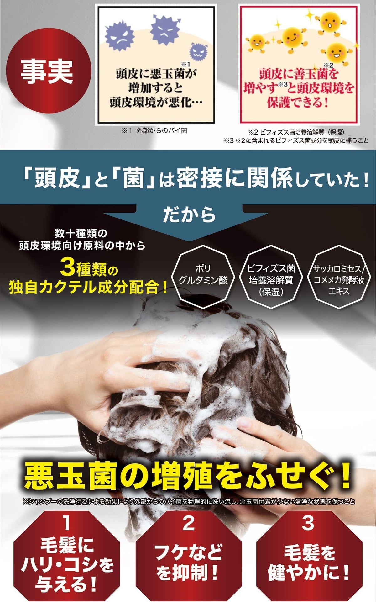 Neumo Vactory Scalp Shampoo, Amino Acid Scalp Care Shampoo with Egg-Derived HGP, Silicone-Free, Mild Scent, 280 mL