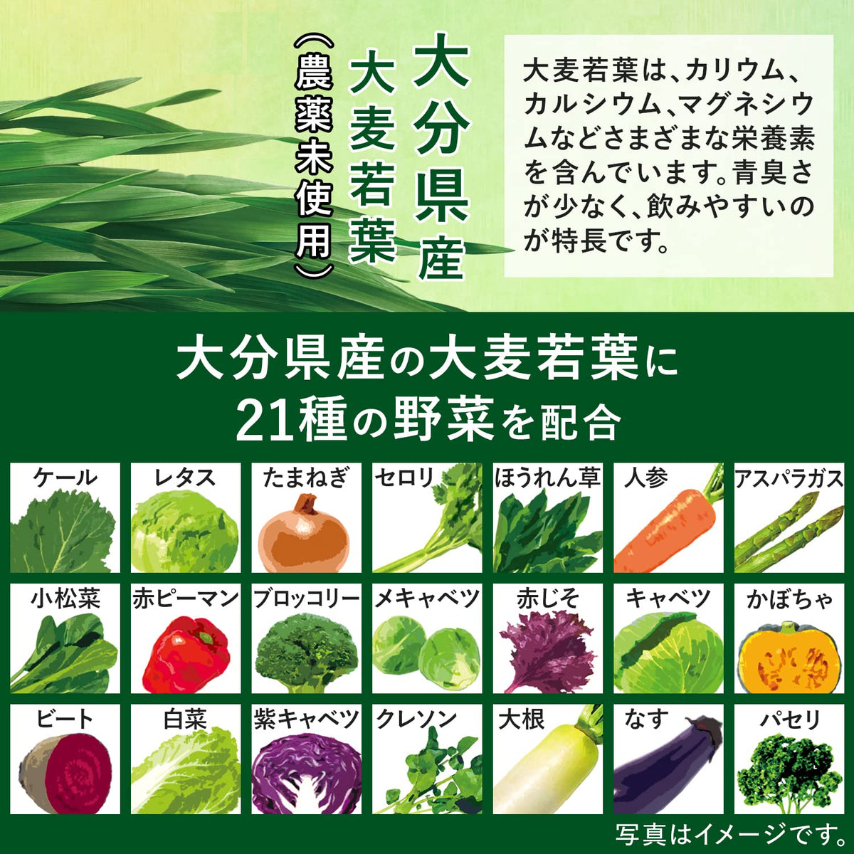 Aojiru Barley Young Leaf Powder with 21 Vegetables, Economy Box of 40 Sticks of 3.3 g, Made in Japan