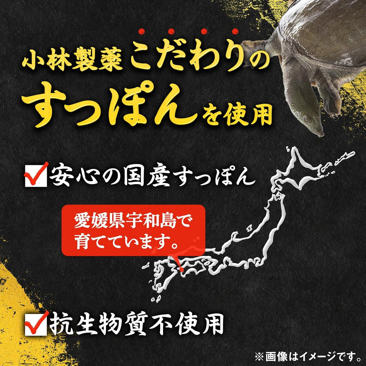 Kobayashi Soft-Shelled Turtle and Korean Ginseng, 60 Tablets, 30 Days, Ehime-Grown Turtle with Red Ginger