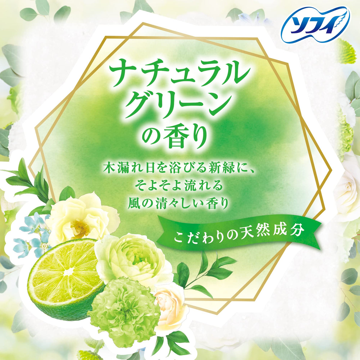 Sofy Kiyora Natural Green Panty Liners