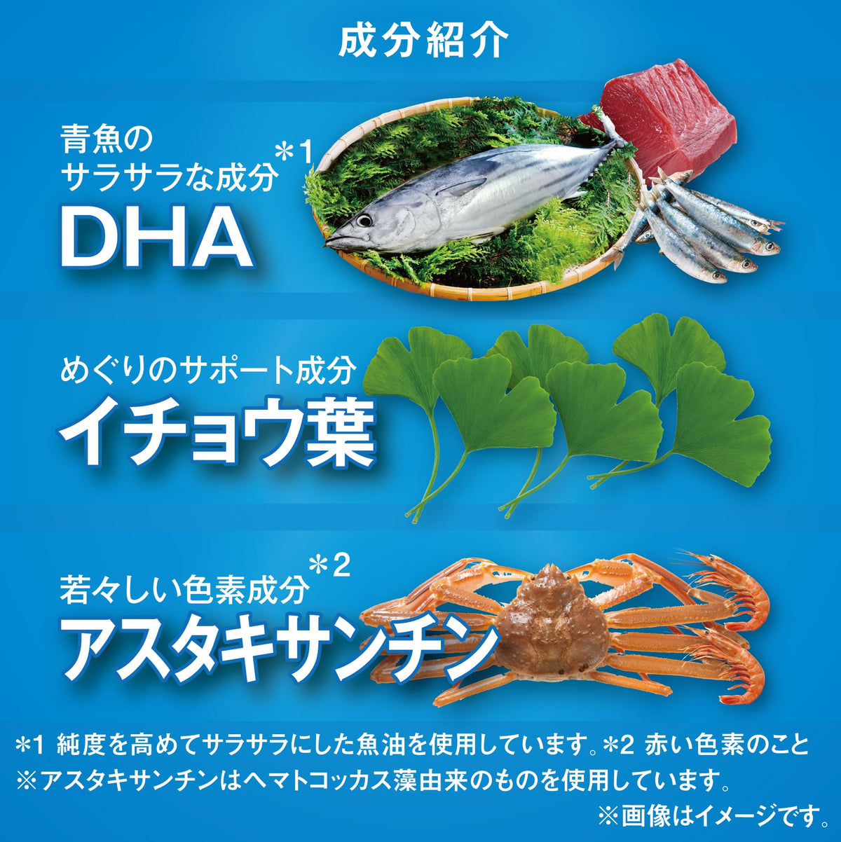 DHA, Ginkgo Leaf and Astaxanthin Softgels, Three Softgels a Day, 90 Softgels for 30 Days