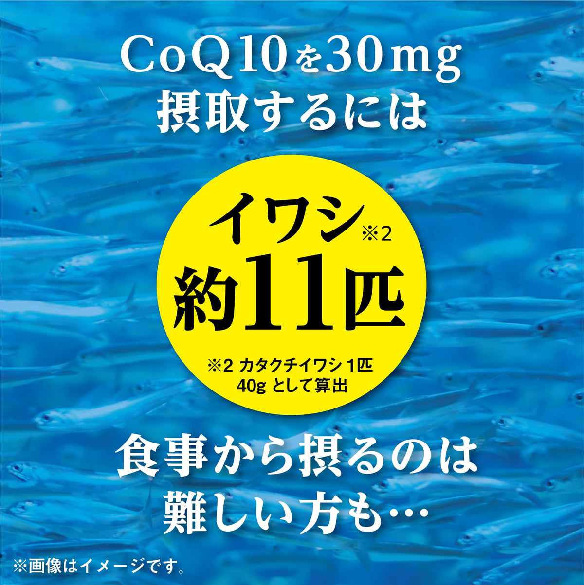 Kobayashi Coenzyme Q10, Alpha-Lipoic Acid and L-Carnitine, 60 Capsules, 30 Days