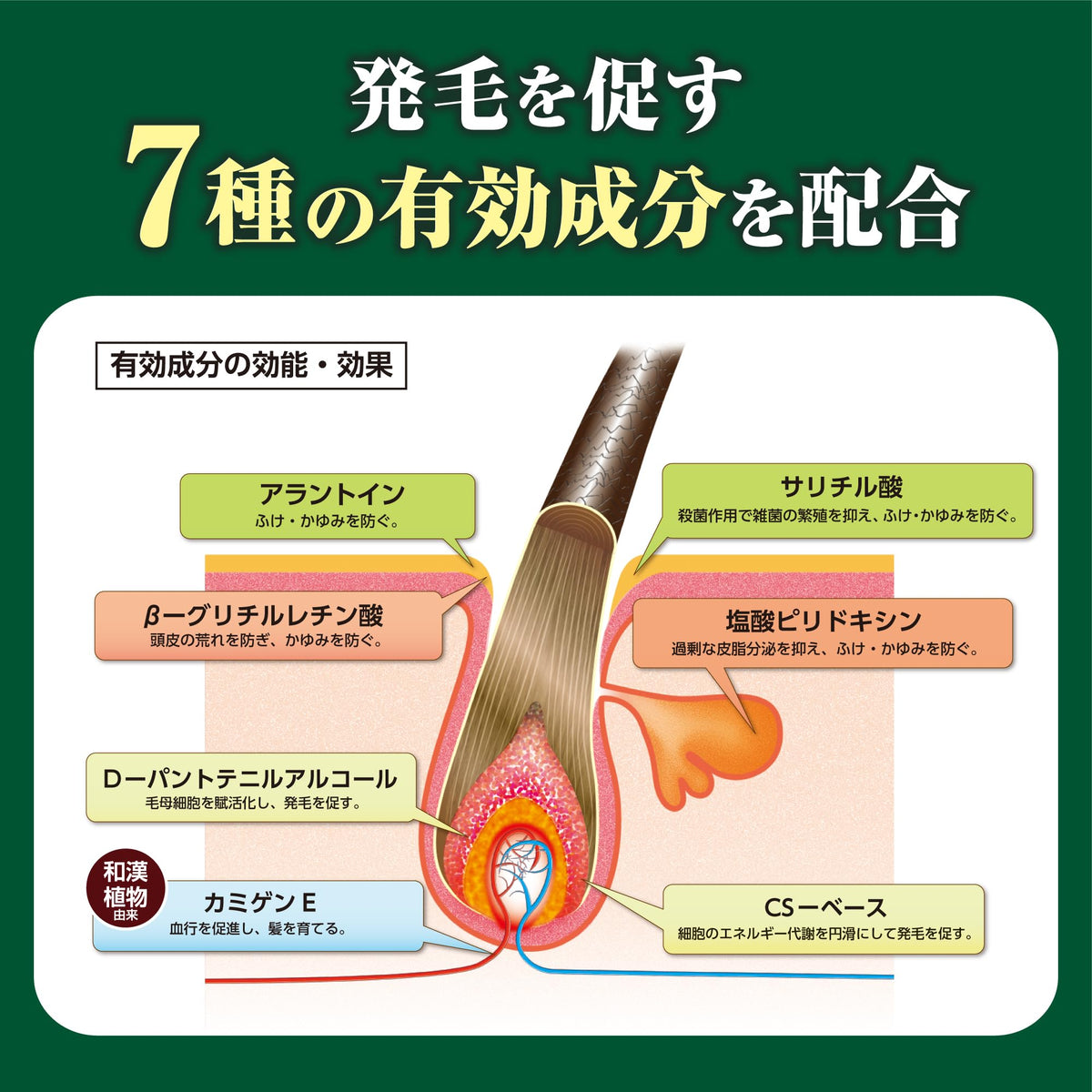 Kaminomoto Medicated Hair Growth Trigger Hair Growth Promoting Scalp Lotion with Seven Active Ingredients, Fragrance-Free, Quasi-Drug, 180 mL