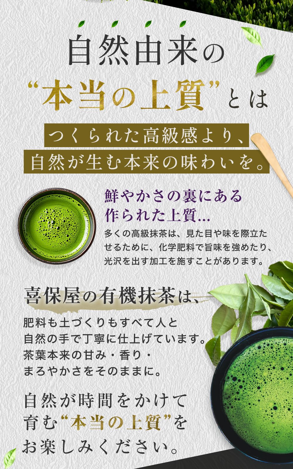 Kippoya Organic Matcha Powder From Shizuoka, Miyabi 35 g Or Nagomi 80 g
