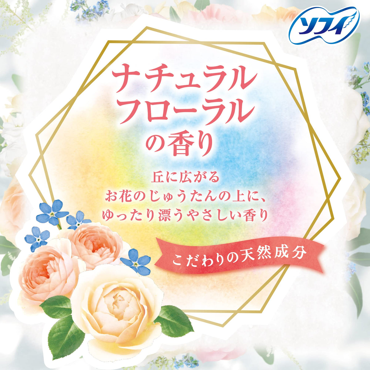 Sofy Kiyora Natural Floral Panty Liners