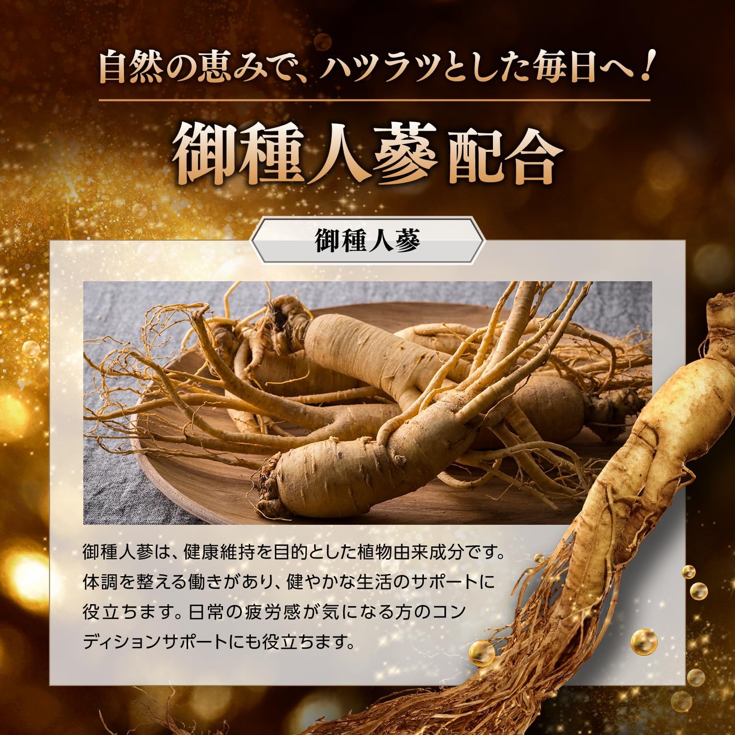 GRIFFX ActiveCore Ginseng, Citrulline, Maca, Zinc, Arginine, Nutritional Functional Food, Carefully Selected Ingredients, Supplement, Made in Japan, 30 Tablets