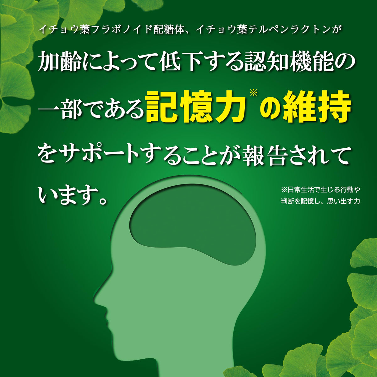 Kobayashi Ginkgo Leaf, 90 Tablets, 30 Days, Food with Function Claims
