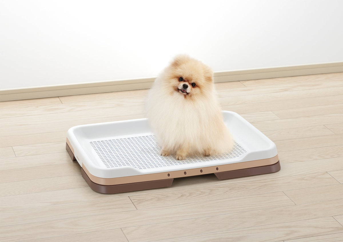 Richell Easy-Clean Step Tray Regular Ivory 47.9 x 35.2 x 4.9 cm, Dog Toilet Tray with Raised Rim and Removable Mesh, Made in Japan