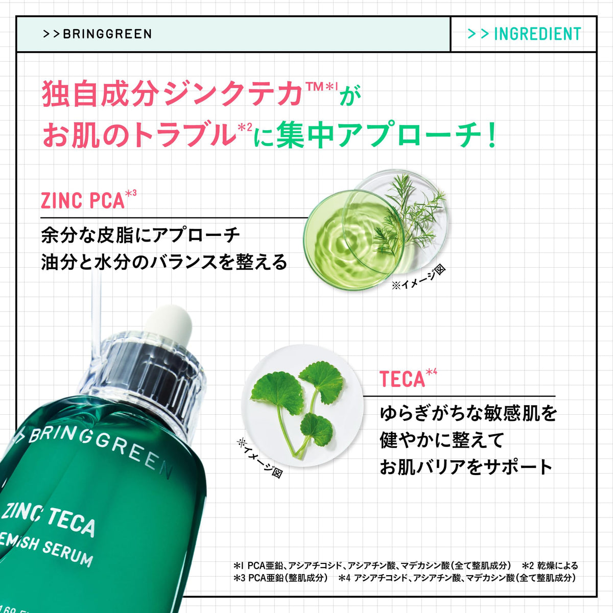 BRING GREEN Zinc Teca Blemish Serum with Tea Tree Cica Activator, Tea Tree and Centella Niacinamide Serum, 25 mL