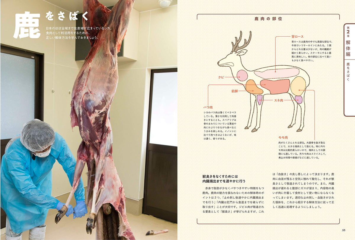 Graphic-sha Gibier Textbook: Butchery And Cooking