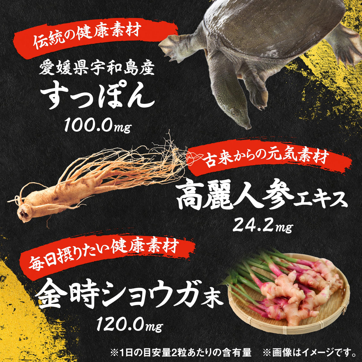 Kobayashi Soft-Shelled Turtle and Korean Ginseng, 60 Tablets, 30 Days, Ehime-Grown Turtle with Red Ginger