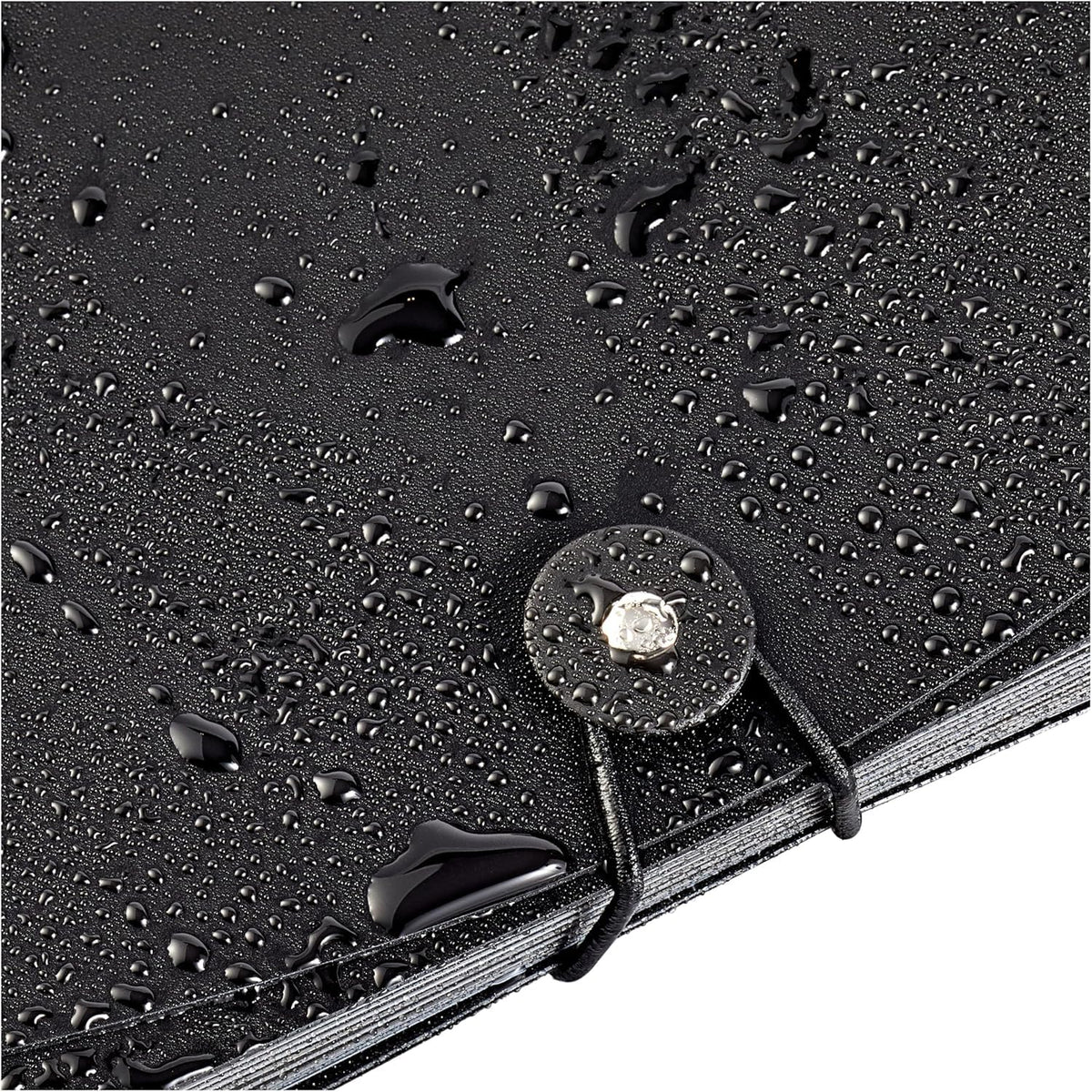 Amazon Basics Expanding Poly File Folder A4, 13 Tabbed Pockets Holding up to 260 Sheets, Cord Closure, Waterproof and Tear-Resistant, 33 x 23.4 x 4.1 cm, Black or Black and Gray
