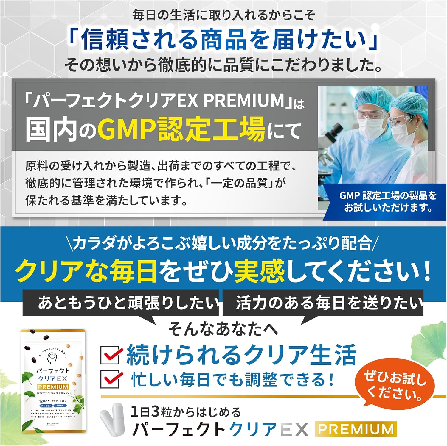 Perfect Clear EX Premium Phosphatidyl Serine PS Ginkgo Biloba Leaf Mucuna Bean Supplement GABA DHA Tyrosine Lecithin Capsules (90 Capsules for 30 Days), Made in Japan