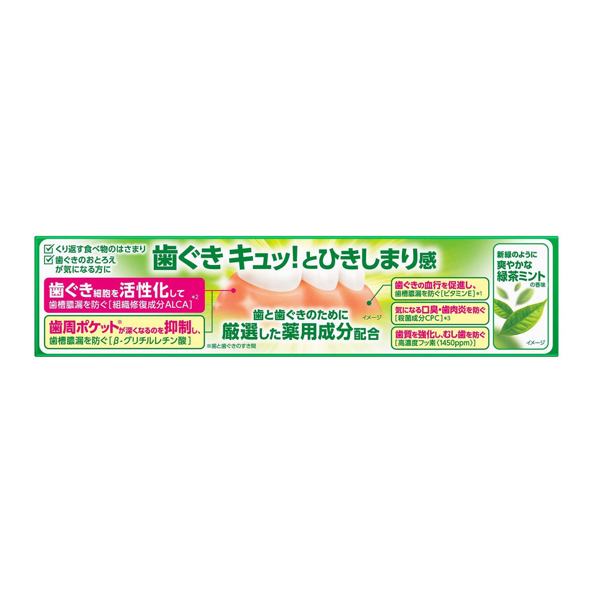 Deep Clean Medicated Toothpaste for Gum Care and Bad Breath Prevention, Green Tea Mint, 160 g