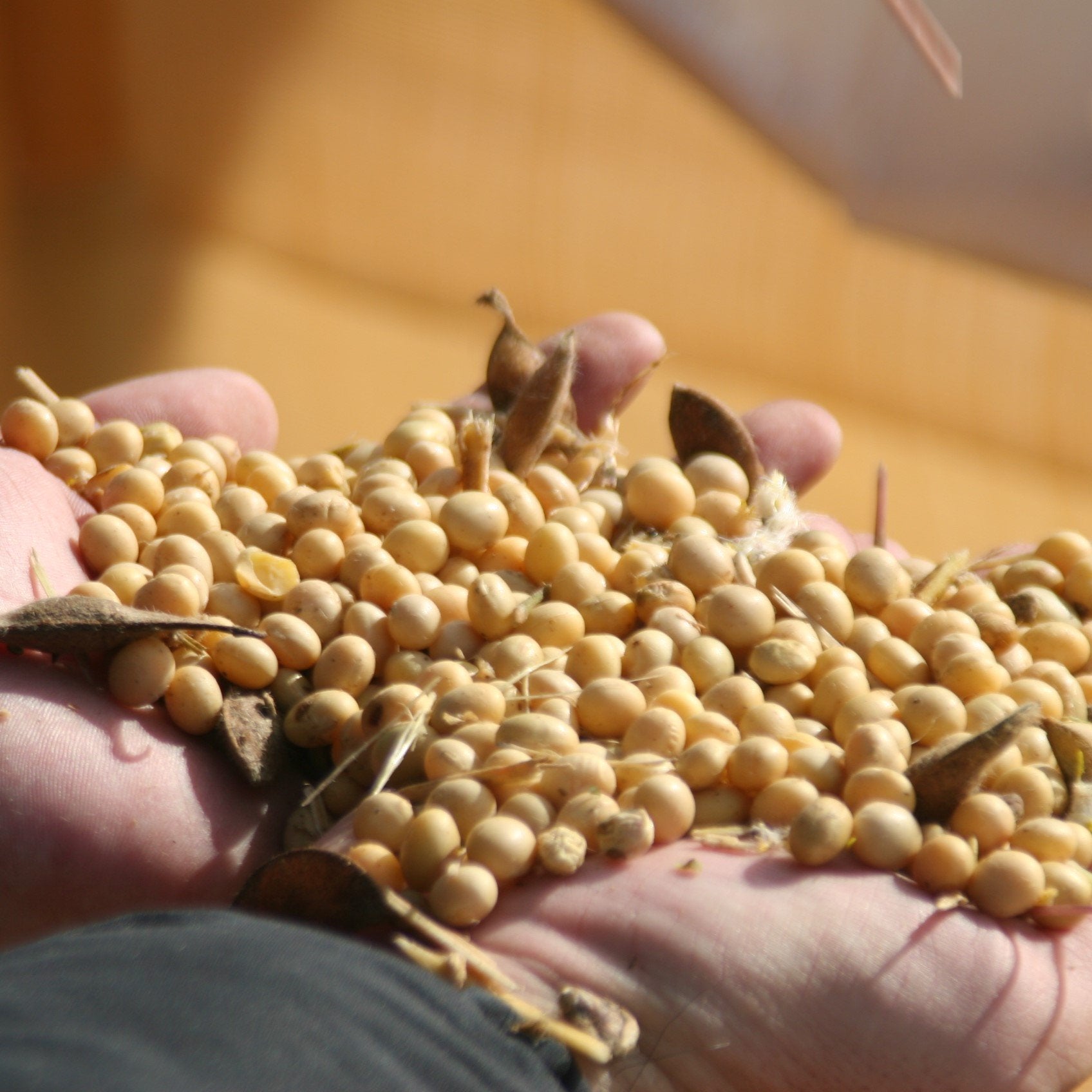 Adachi Saishikomi Twice-Brewed Rich Japanese Soy Sauce 300ml