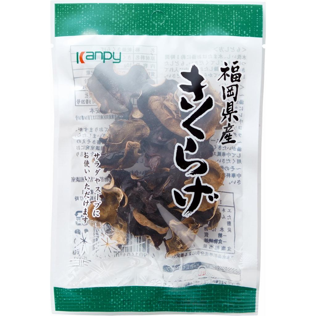 Premium 10g package of dried Japanese Kikurage wood ear mushrooms for authentic cooking