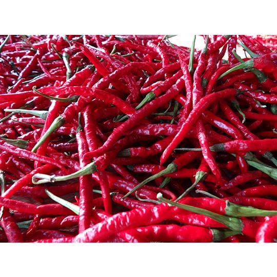 Imakawa Premium Red Chili Pepper Spicy Japanese Vinegar 150ml