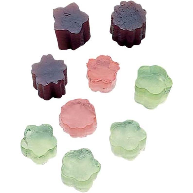 Japanese Decorative Steel Vegetable Cutters Set of 6 with Case