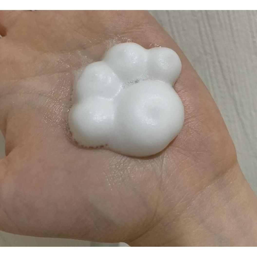 Kao Biore Paw Pad Foaming Hand Wash 240ml Kids Cleanser