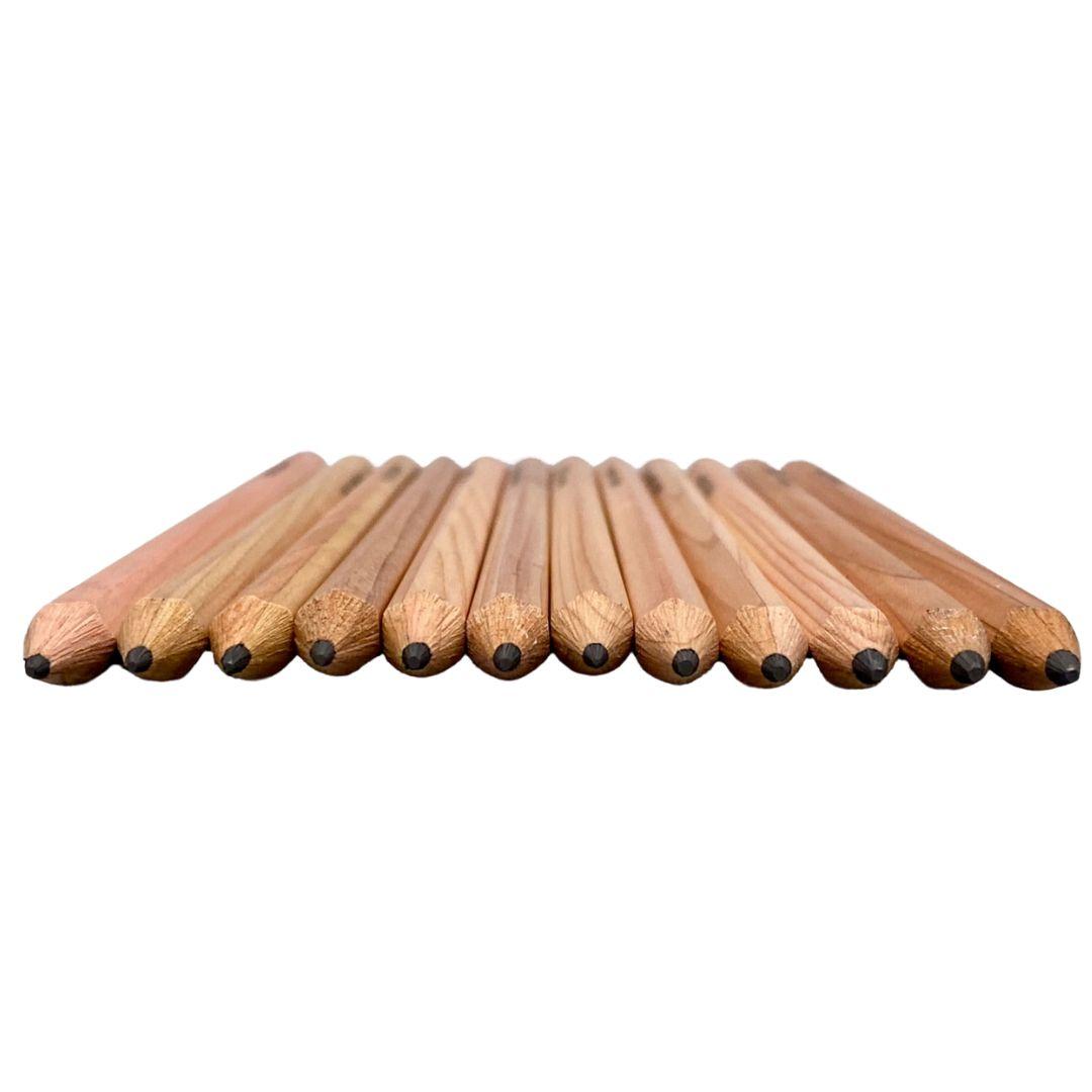 Kitaboshi 12-Piece 4H-6B Premium Art Pencil Set in Metal Tin