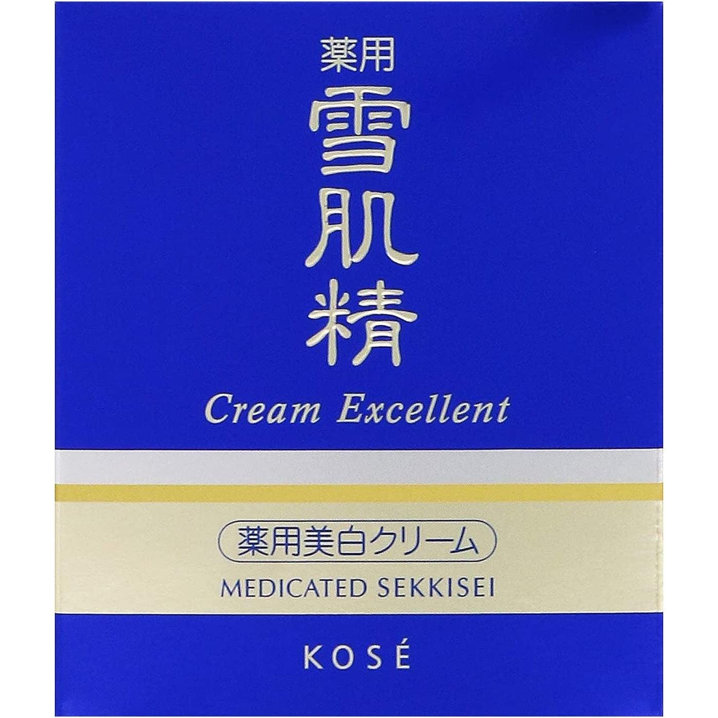 Kose Sekkisei Excellent Spot Treatment Moisturizing Cream 50g
