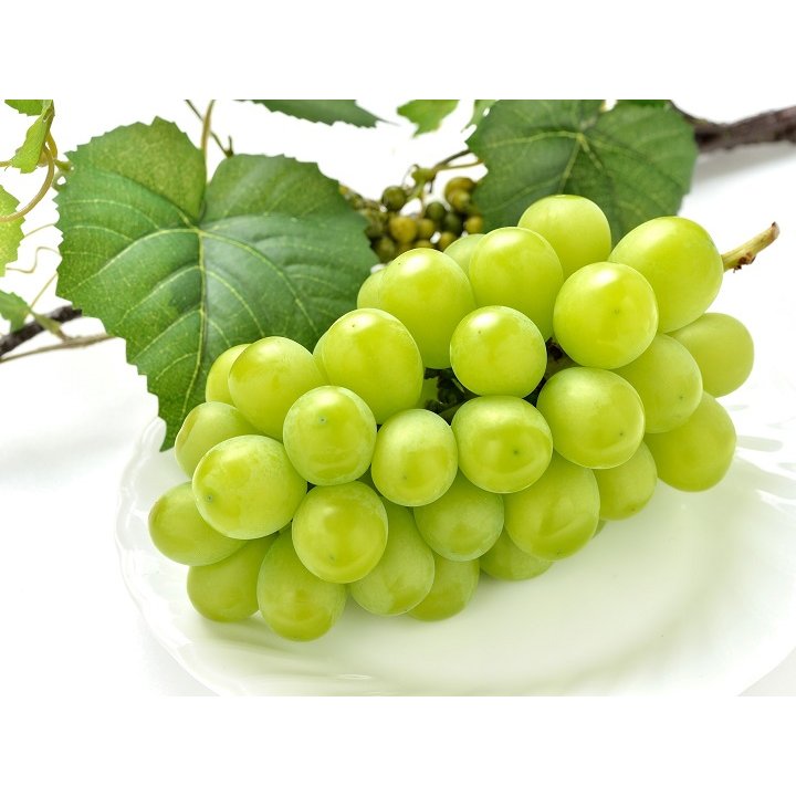 Orihiro Drinkable Konjac Jelly Drink White Muscat Grape Flavor 130g