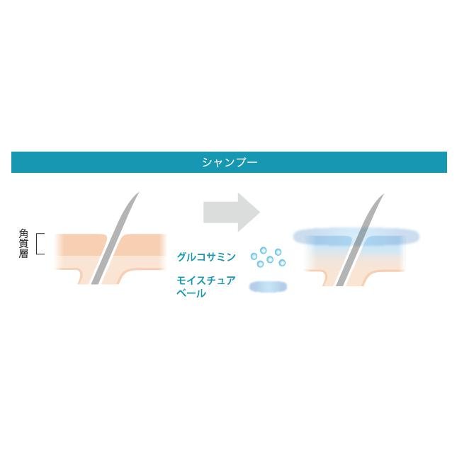 Milbon Aujua Gentle Aging Spa Shampoo Scalp Care Shampoo 500ml