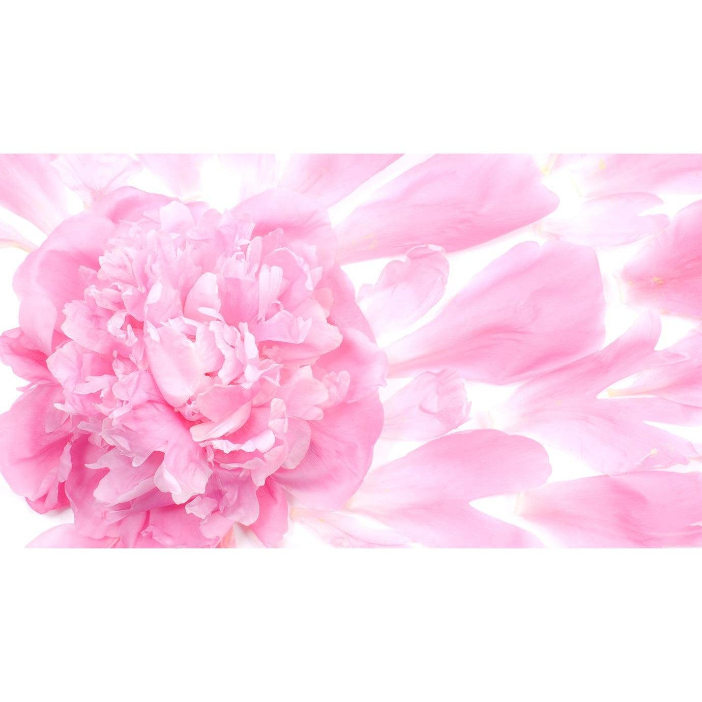 Milbon Jemile Fran Elastic Collagen Shampoo for Fine Hair 500ml