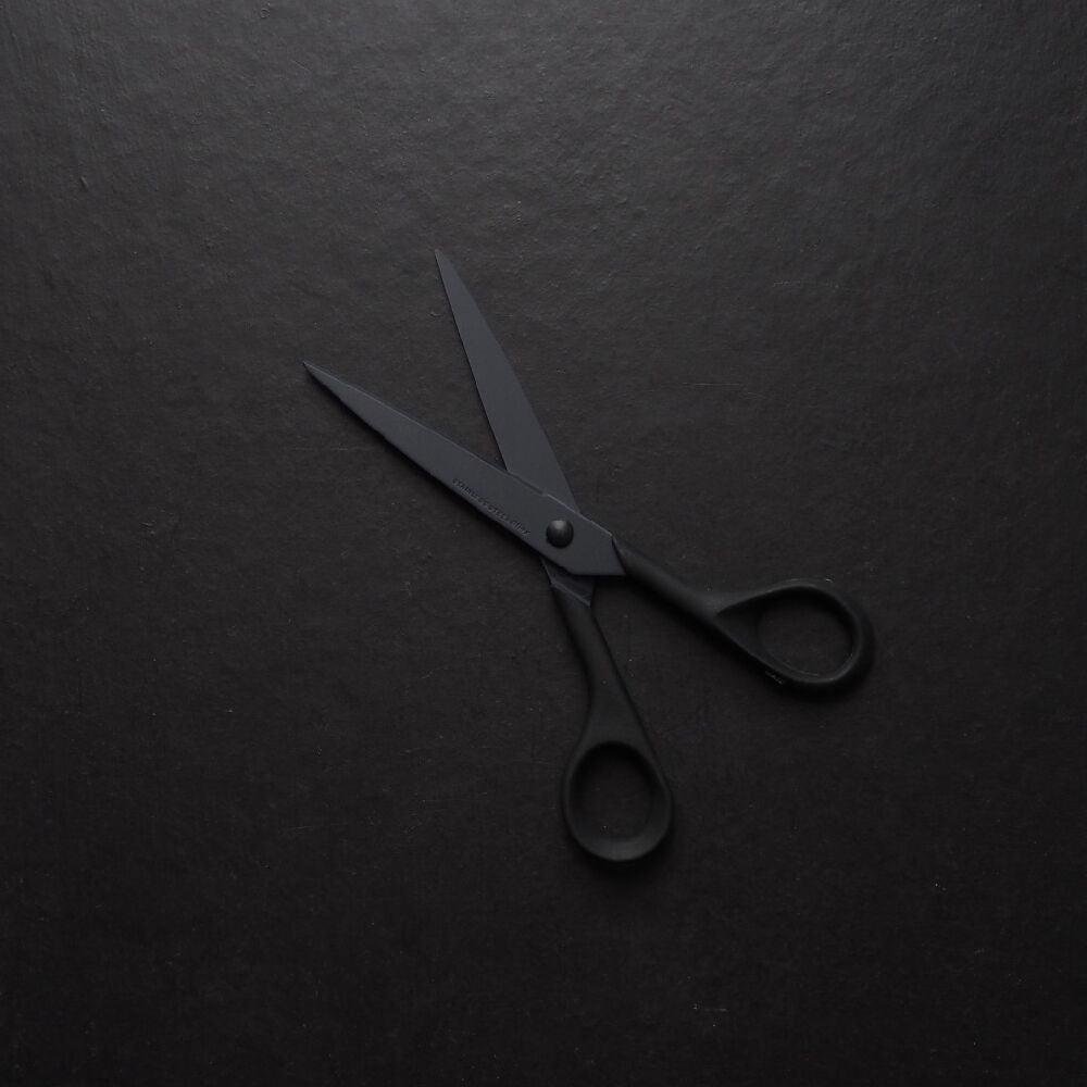Hayashi Allex Non Stick Craft and Office Scissors 15124 – Premium Japanese Cutting Tool
