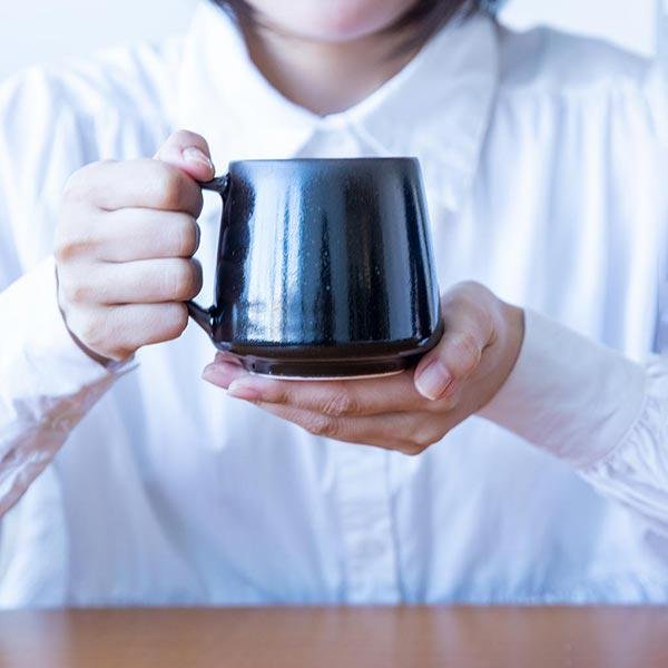 Japanese Mino Ware Handcrafted Black Porcelain Mug 320ml