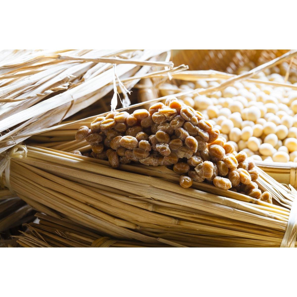 Kawaguchi Freeze-Dried Natto Powder 75g High-Protein Japanese Superfood Convenient