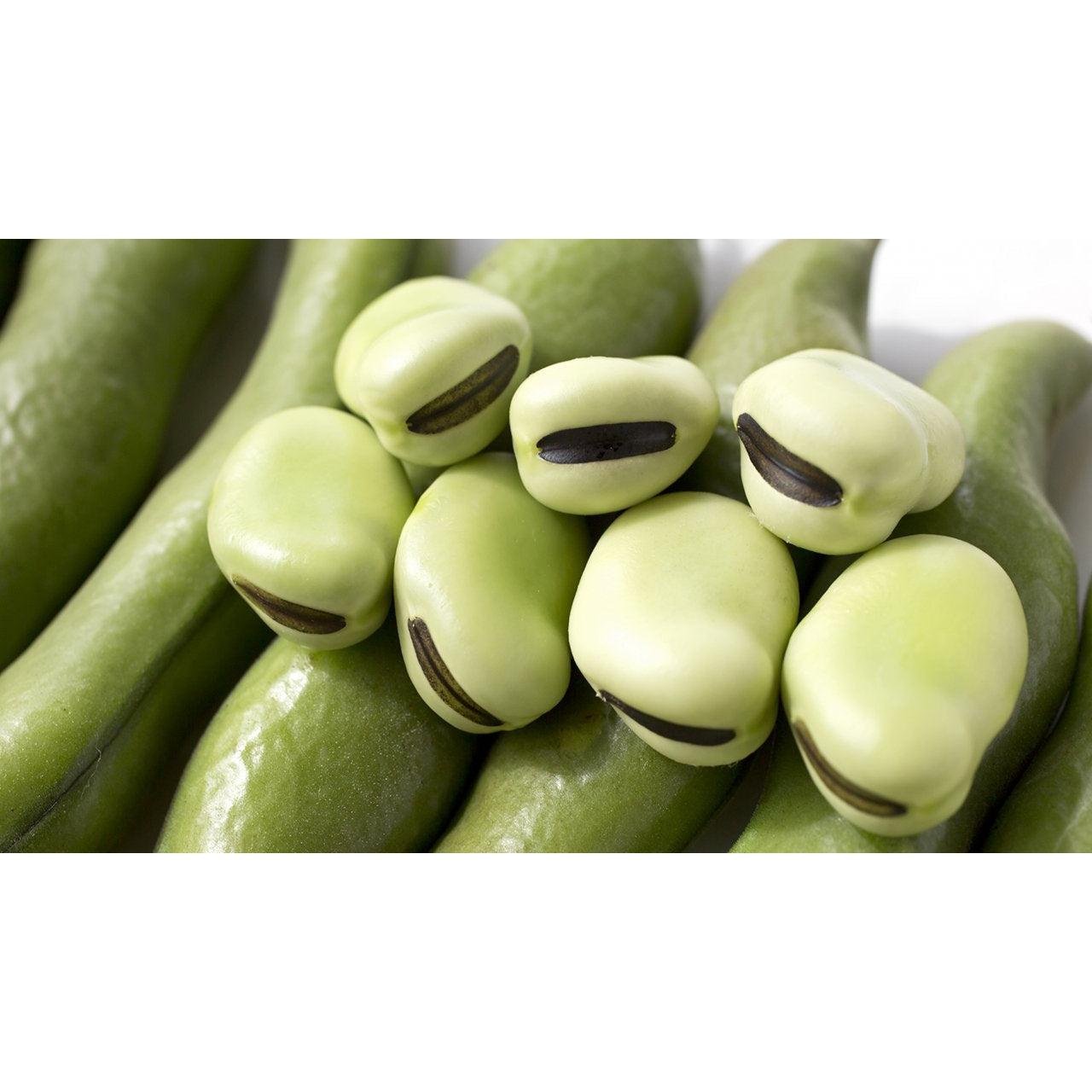 Takahashi Shoten Fava Bean Shoyu Sauce Soy‑Free 300ml