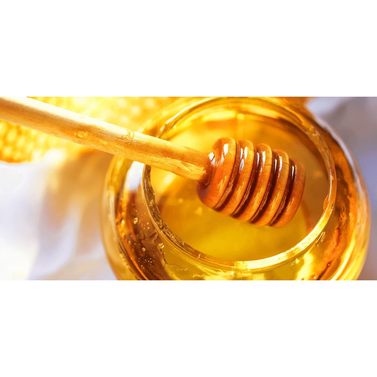 ViCREA &honey Deep Moisture Hair Oil 100ml Organic Argan Treatment