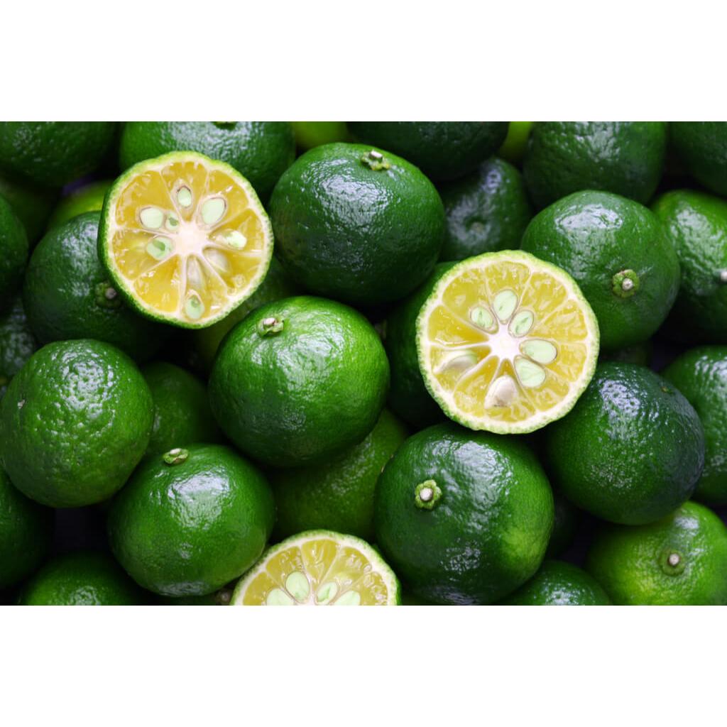 Premium Shikuwasa Juice 100% Okinawa Lime Sour Citrus 270ml Bottle