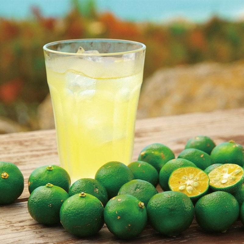 Premium Shikuwasa Juice 100% Okinawa Lime Sour Citrus 270ml Bottle