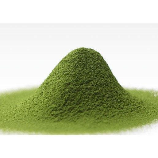 Shooken Nagasaki Matcha Castella Sponge Cake – Premium Japanese Sweet