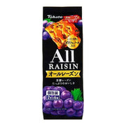 Tohato Soft Chewy All‑Raisin Old‑Fashioned Cookies 12‑Piece Pack