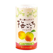 Tokiwa Ume Plum Vinegar 125ml bottle with traditional Japanese plum illustration and branding