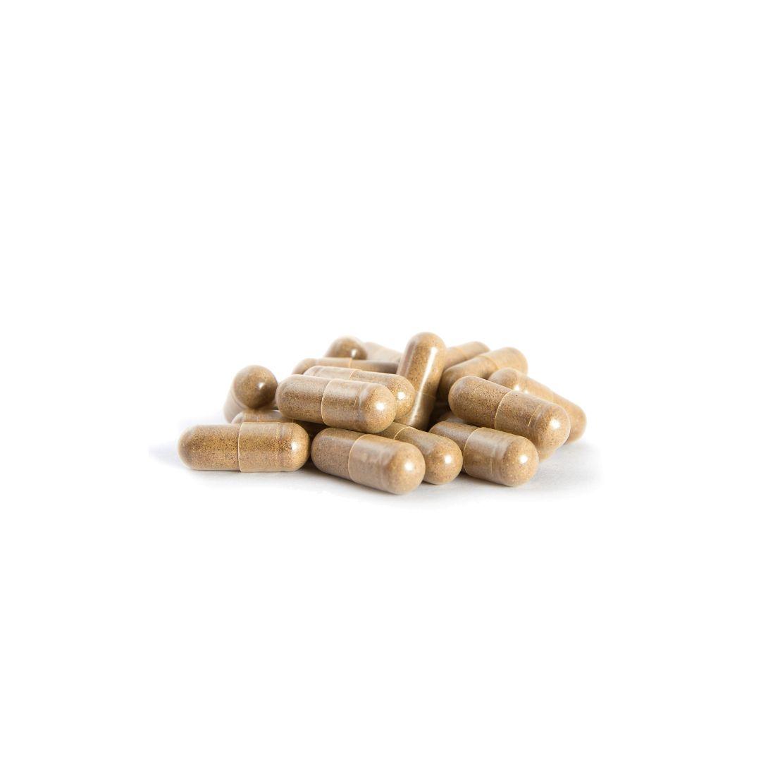 Yuwa Super Kombucha 1000 Fermented Black Tea Capsules – 56 Count