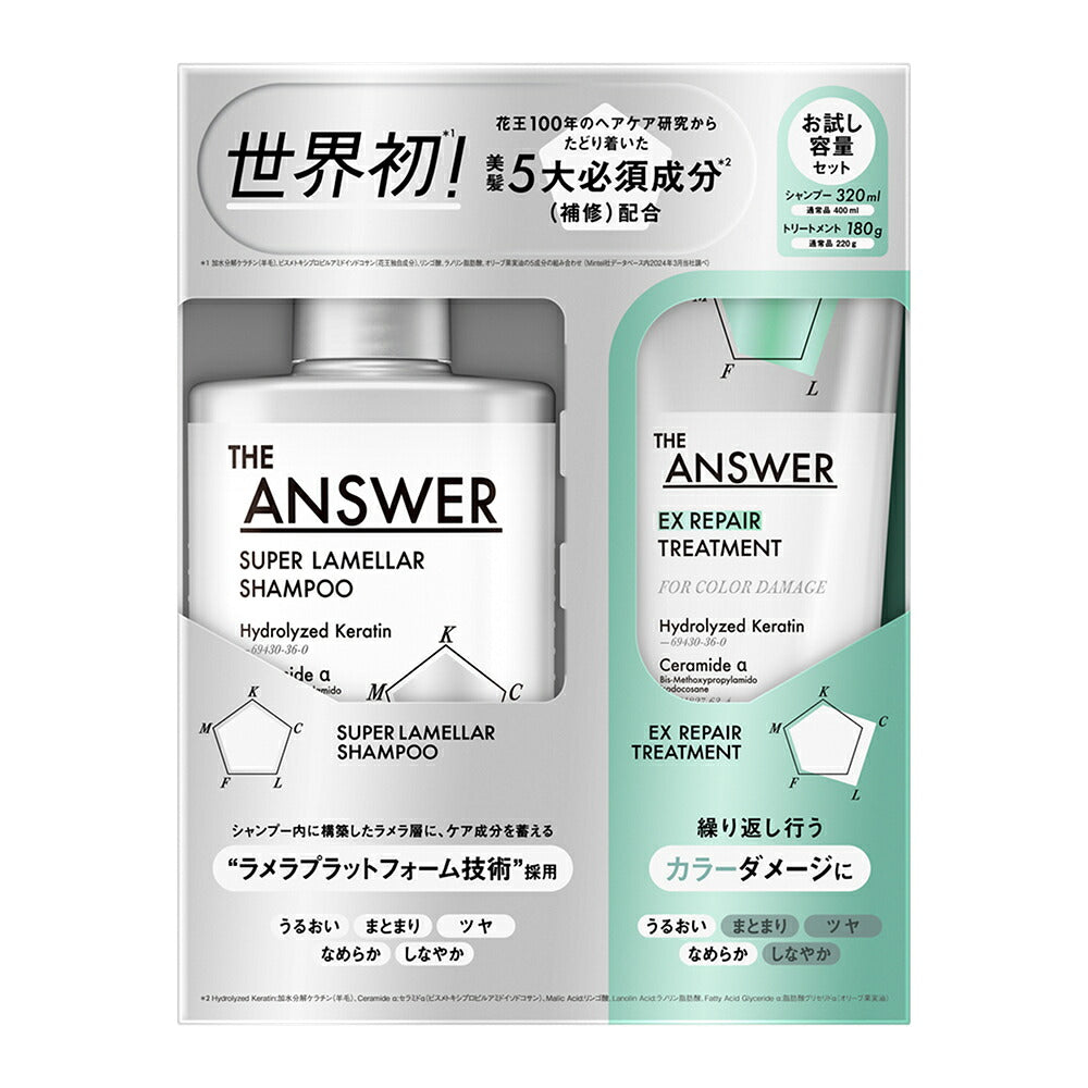 THE ANSWER Super Lamellar Shampoo 320 mL and EX Treatment 180 g Trial-Volume Pair, For Heat Damage or Color Damage