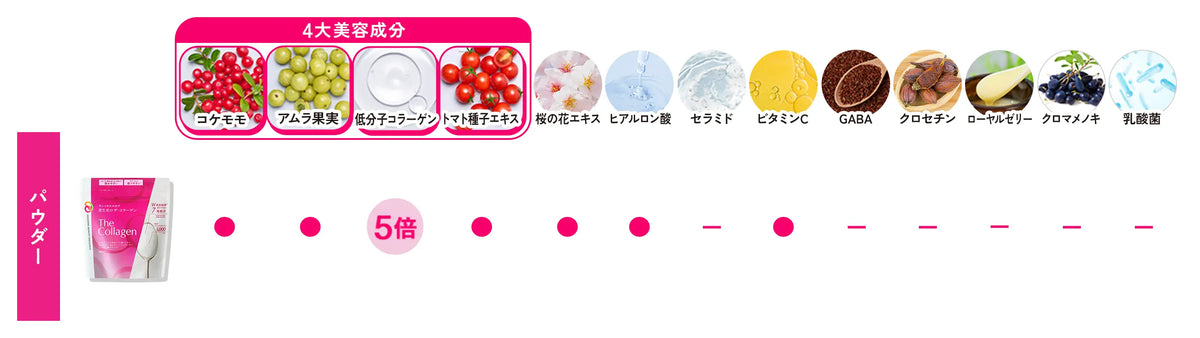 Shiseido powder ingredient overview