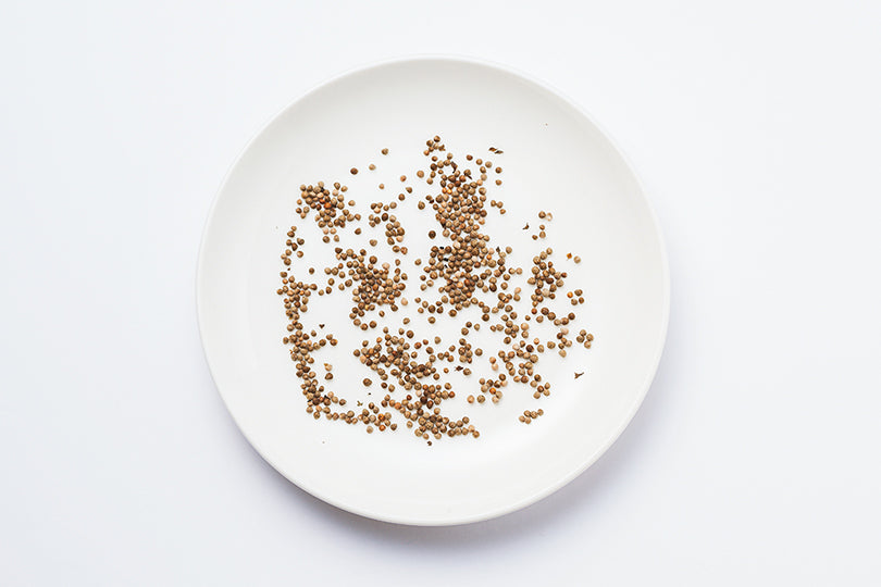 Close view of egoma seeds