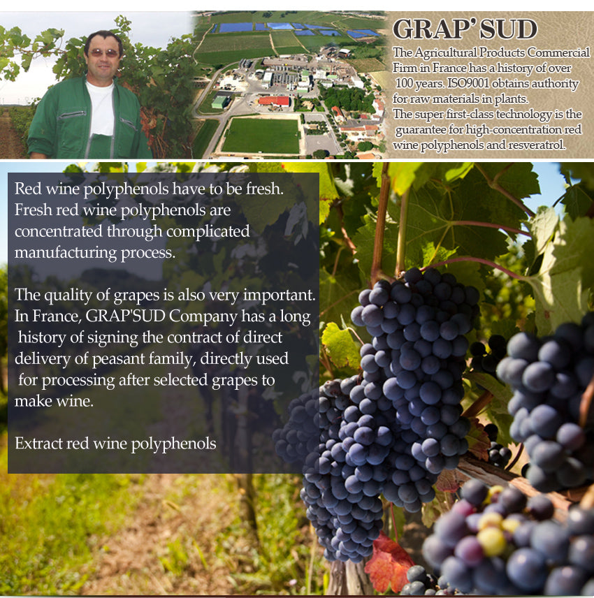 NIHON KEFIA Co., Ltd. Red wine habit ~Polyphenols for anti aging support~