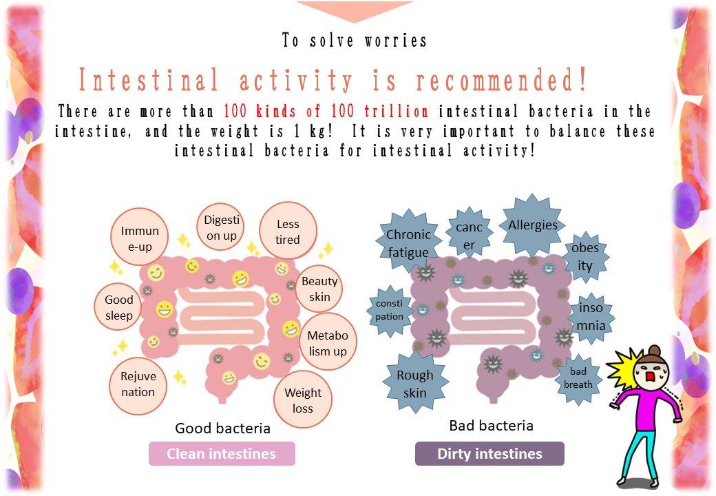 CEHLA Enzyme x Lactic Acid Bacteria x Vitamin B & C