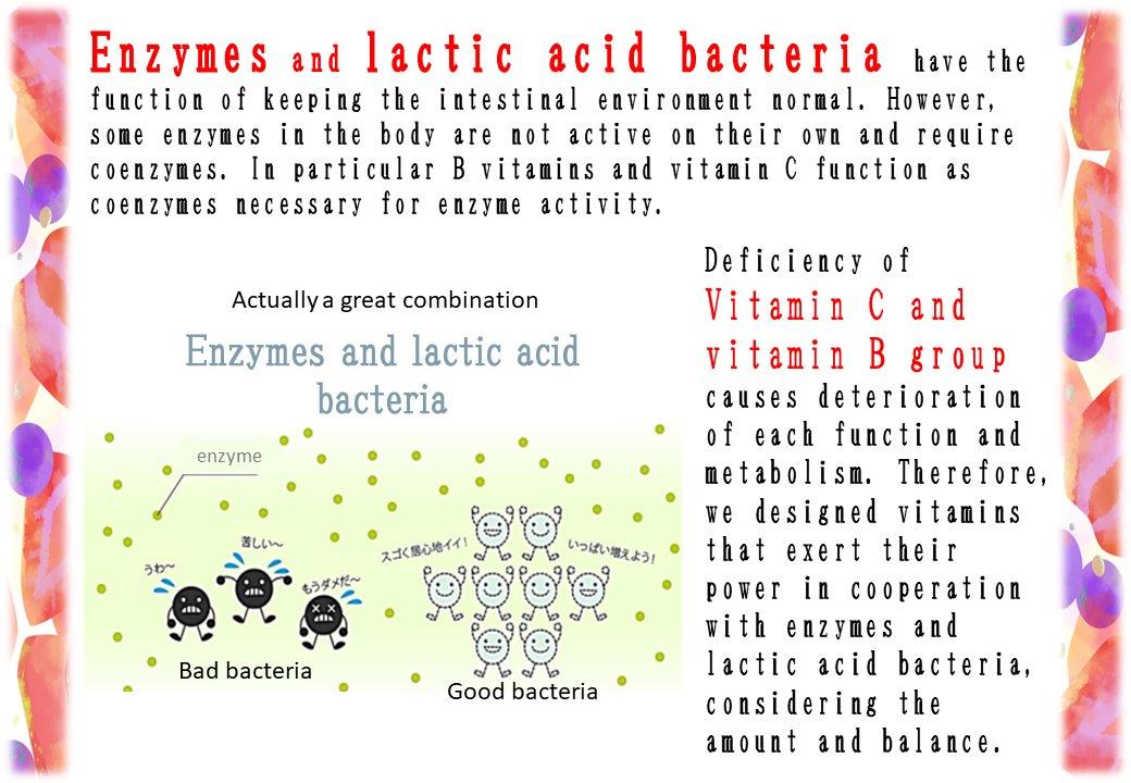 CEHLA Enzyme x Lactic Acid Bacteria x Vitamin B & C