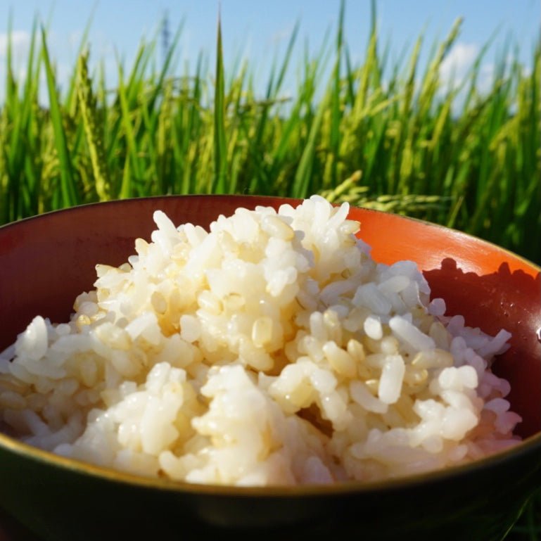 Microwable Rice Japan Suzuki Matagoro Shoten Microwavable Brown Rice - 24 Pack Healthy Japan ...