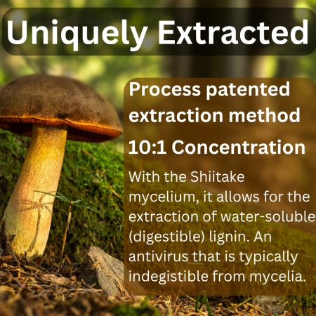 Japanese Mushroom Supplement - 6 Types of Mushrooms