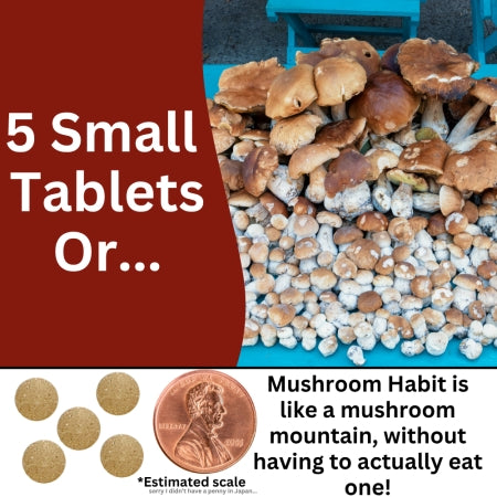 Japanese Mushroom Supplement - 6 Types of Mushrooms