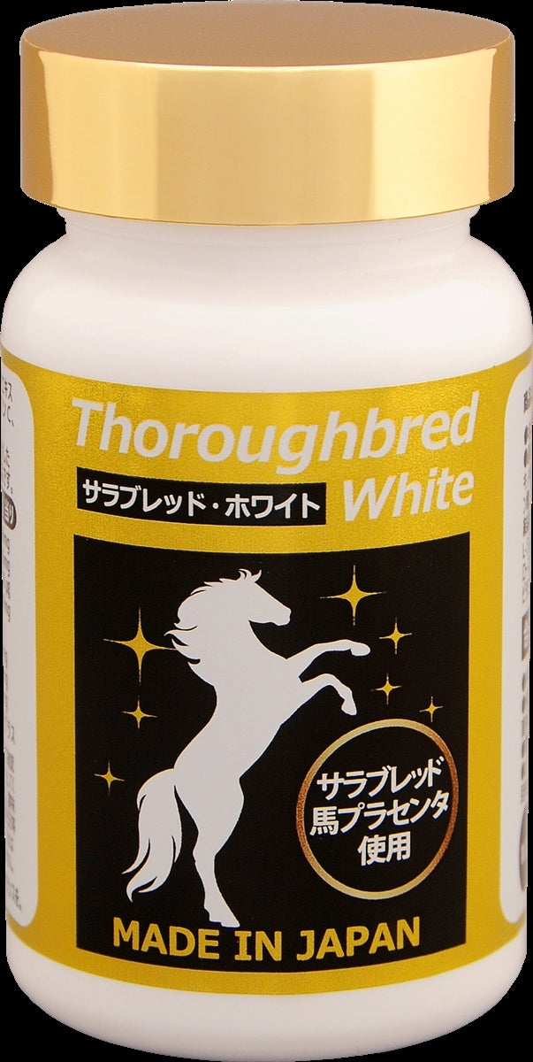 thoroughbred white